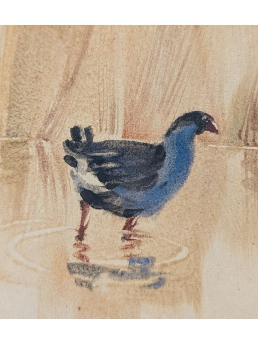New Zealand Pukeko Artwork John Brasell in Wood Frame Minor Flaws 8.5 x 6 in - Picture 2 of 15
